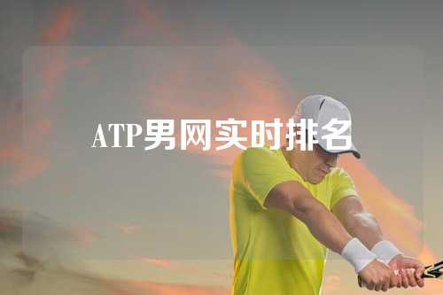 ATP男网实时排名