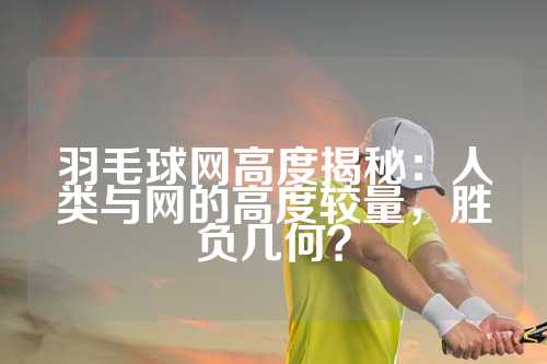 羽毛球网高度揭秘：人类与网的高度较量，胜负几何？