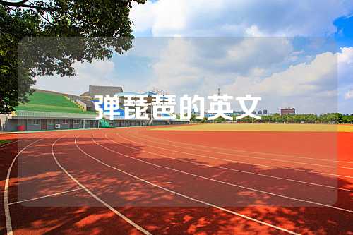 弹琵琶的英文