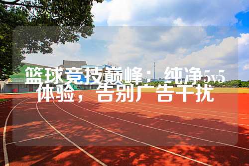 篮球竞技巅峰：纯净5v5体验，告别广告干扰