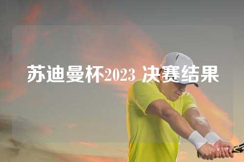 苏迪曼杯2023 决赛结果