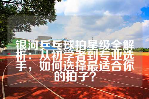 银河乒乓球拍星级全解析：从初学者到专业选手，如何选择最适合你的拍子？