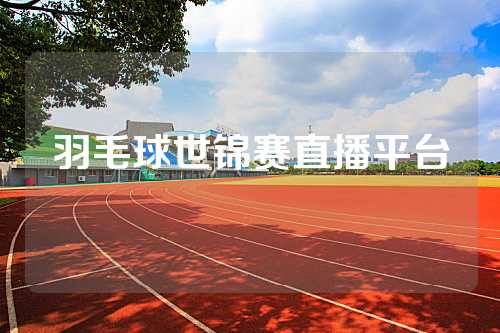 羽毛球世锦赛直播平台