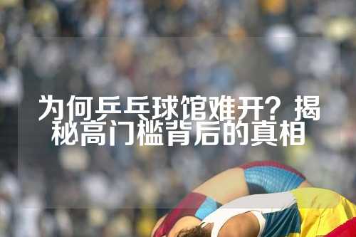 为何乒乓球馆难开？揭秘高门槛背后的真相