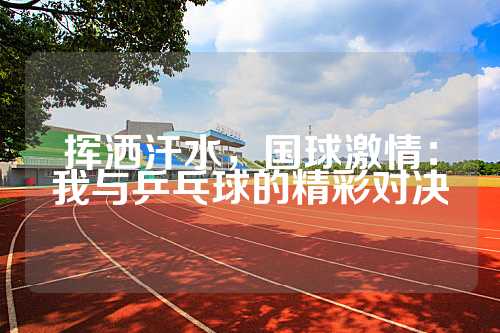 挥洒汗水，国球激情：我与乒乓球的精彩对决