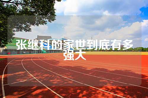 张继科的家世到底有多强大